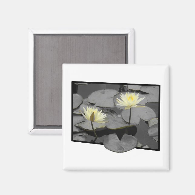 Imã Bloom além do quadro (Front/Back)