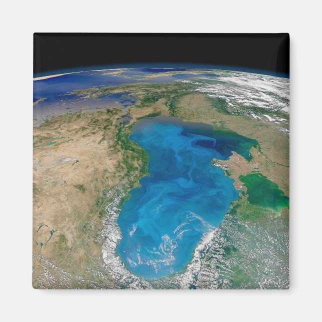 Imã Bloom De Fitoplâncton Azul No Mar Negro (Frente)