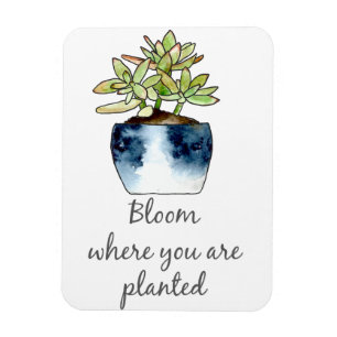 Ímã Bloom Onde Você Está Plantado Com O Magneto Sucu