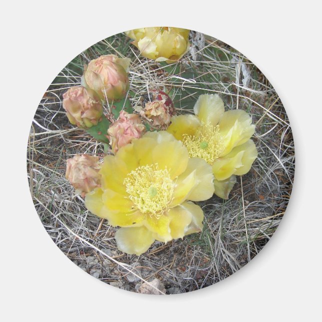 Imã Blooming (Frente)