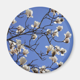 Imã Blooming Magnolias
