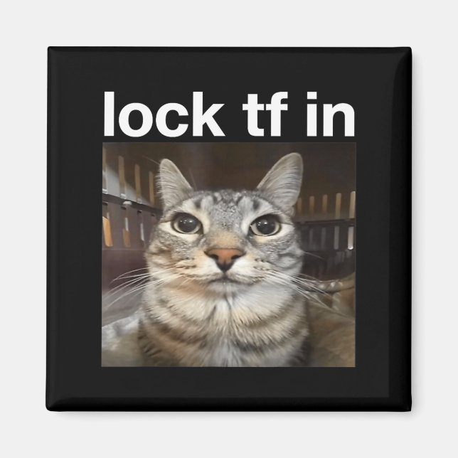 Imã Bloquear TF no Meme de Gato (Frente)
