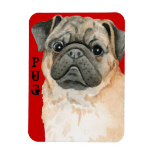 Ímã Bloqueio de Cor do Pug
