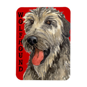 Ímã Bloqueio de Cor do Wolfhound Irlandês