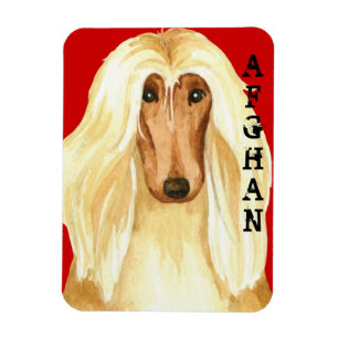 Ímã Bloqueio de Cores de Hound Afegão