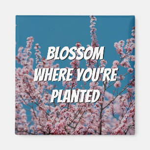 Imã BLOSSOM DE Cereja Floral ONDE VOCÊ ESTÁ PLANTADO