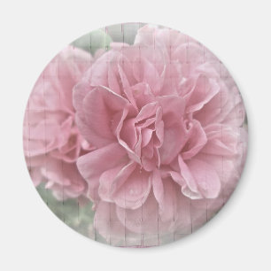 Imã Blossomas de Rosa de Subida Rosa