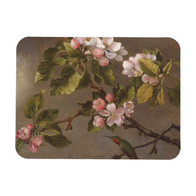 Ímã Blossomo de Mingbird e Maçã (Horizontal)