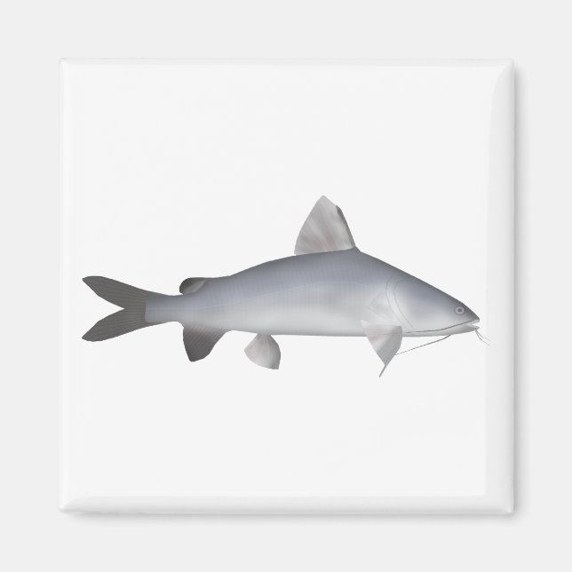 Imã Blu Salmon Catfish (Frente)