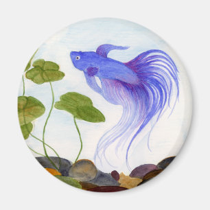 Imã Blue Betta Fish