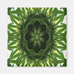 Imã Blue Dream Mandala...