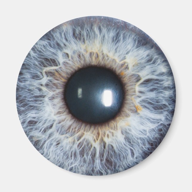 Imã blue eye (Frente)