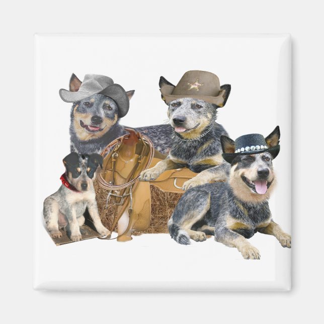 Imã Blue Heeler's Go Western Magnets (Frente)