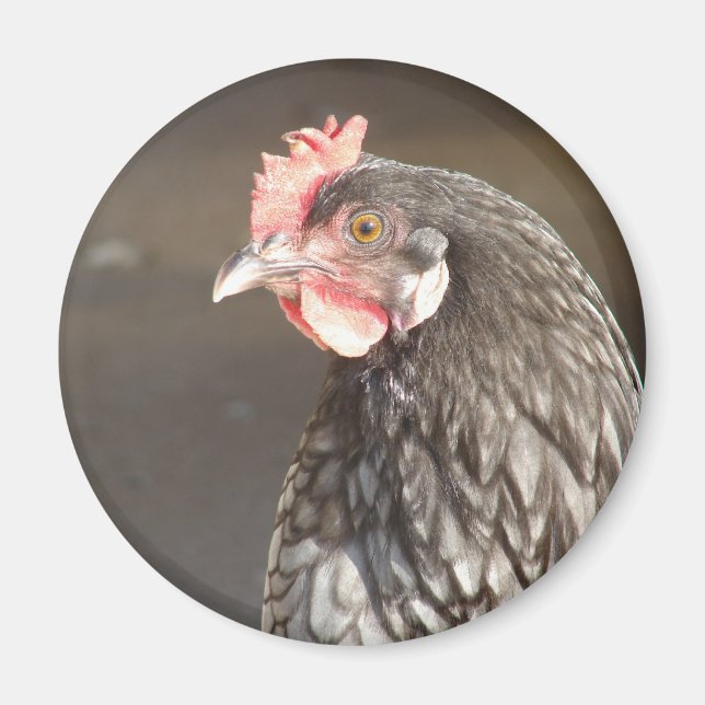 Imã Blue Hen (Frente)