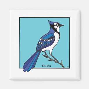 IMÃ BLUE JAY