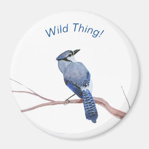 Imã Blue Jay