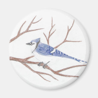 Imã Blue Jay Magnet