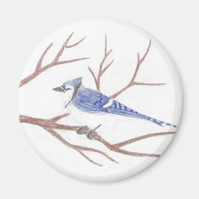 Imã Blue Jay Magnet (Frente)