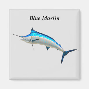 Imã Blue Marlin