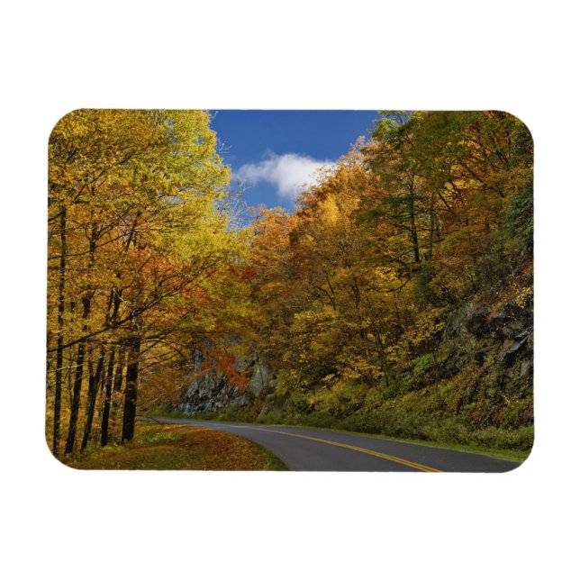 Ímã Blue Ridge Parkway curvando através das cores de o (Horizontal)