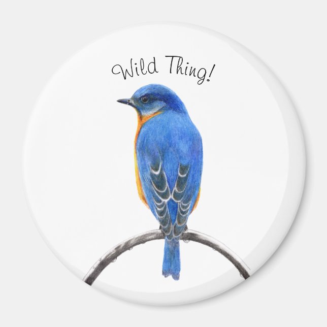 Imã Bluebird (Frente)