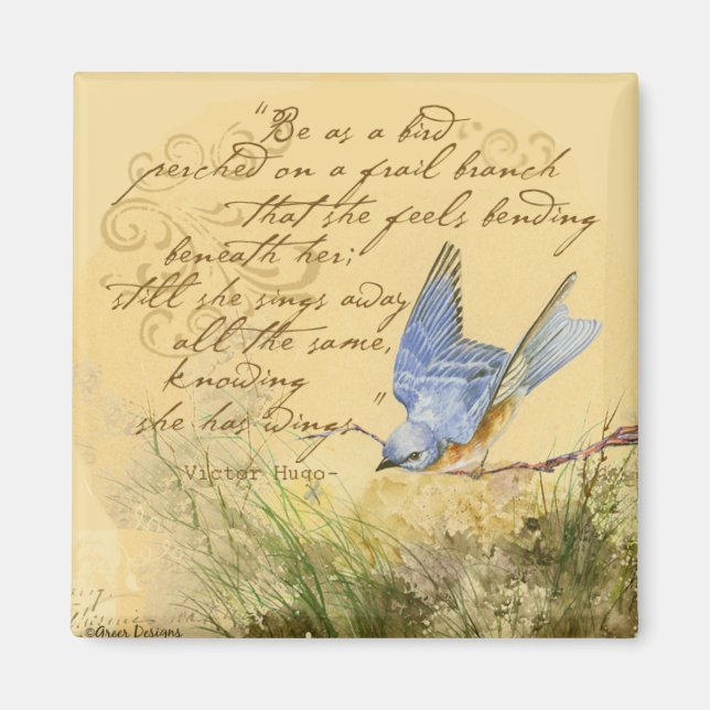 Imã Bluebird na cotação de Branch & Victor Hugo (Frente)