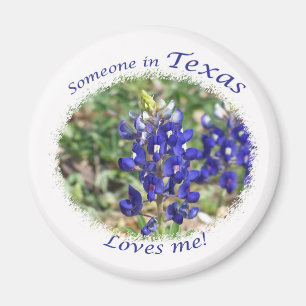 Imã Bluebonnet Alguém no Texas me ama de magneta