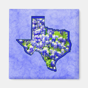 IMÃ BLUEBONNETS DE TEXAS