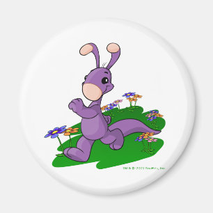 Imã Blumaroo roxo que marcha através da ilha de Roo