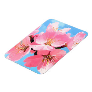 Ímã Blush Bloom Cherry Blossom