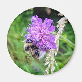 Imã Blütenkraft – Runder Magnet mit Hummelmotiv