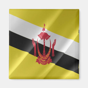 Imã BN - Brunei - Onda de Sinalizador