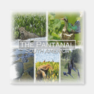 Imã BO0024 America, South America, Bolívia, Fridge