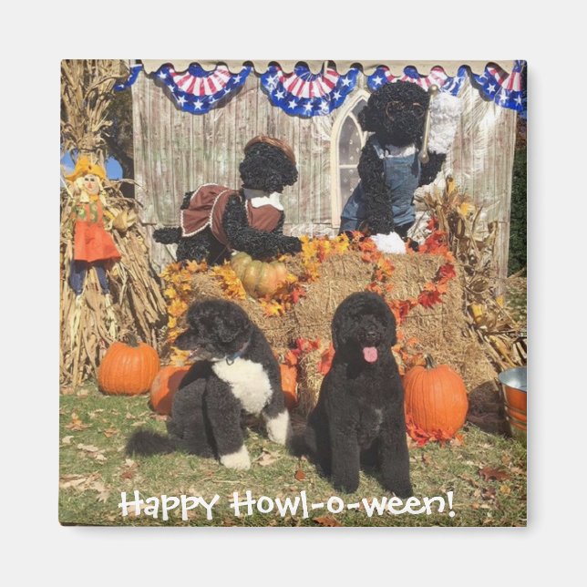 Imã Bo e Sunny Halloween - Magnet (Frente)