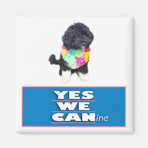 Imã BO Obama SIM NÓS ímã canino, quadrado