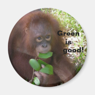 Imã Boa Dieta Veggie