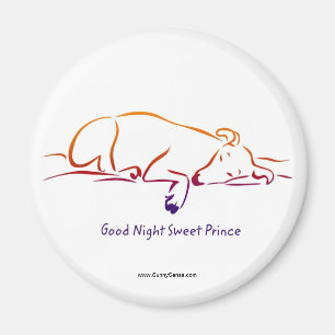 Imã Boas Noites Magnetos Príncipe