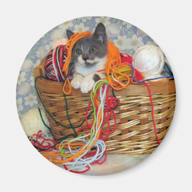 Imã Bob Spinn'in a Yarn Magnet (Frente)