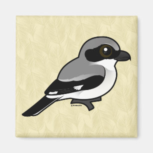 Imã Boba Shrike de Birdorable