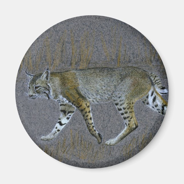 Imã Bobcat (Frente)