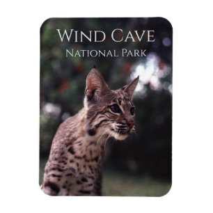 Ímã Bobcat no Parque Nacional de Wind Cave, Dakota do