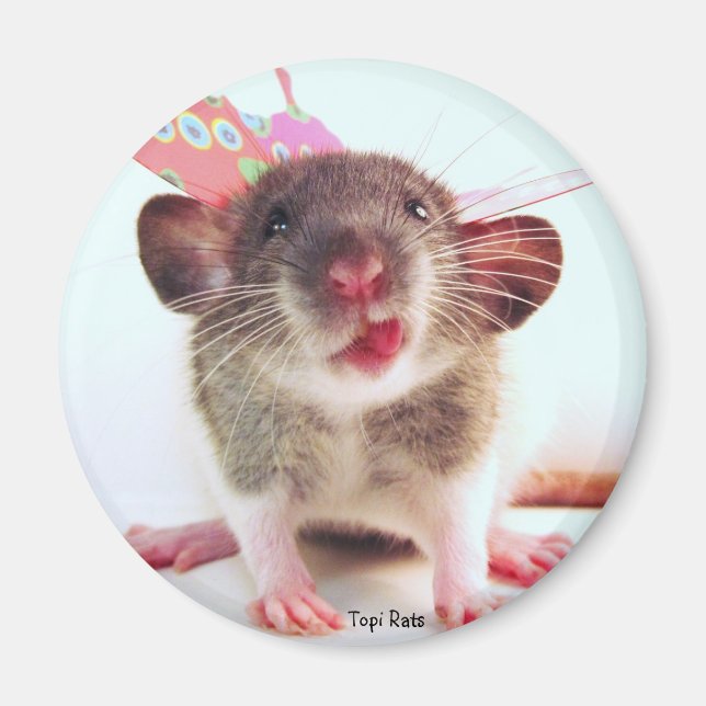 Imã Bobo Flutterby Rat (Frente)