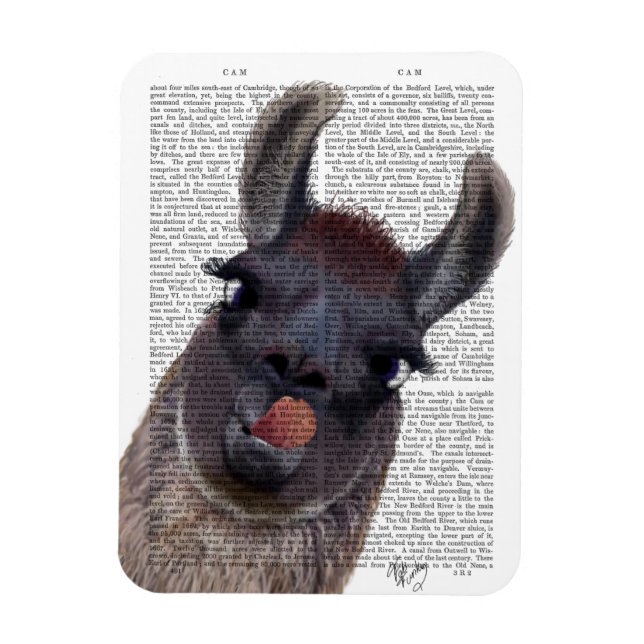 Ímã Bobo Llama (Vertical)