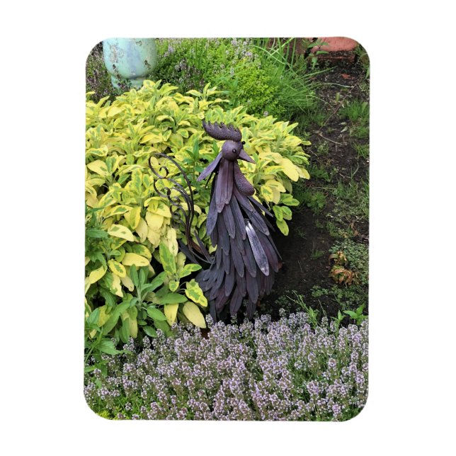 Ímã Bobo Metal Rooster (Vertical)