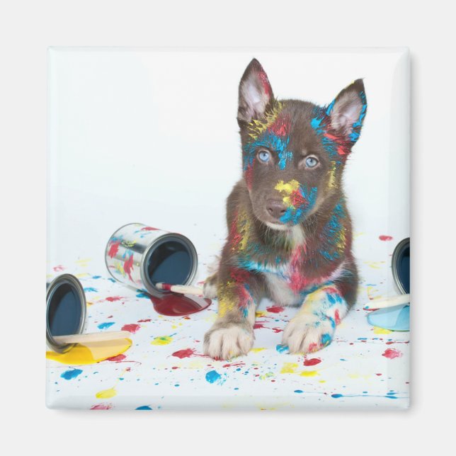Imã Bobo Rouco Puppy entrou em Baldes de pintura (Frente)