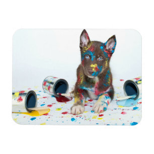 Ímã Bobo Rouco Puppy entrou em Baldes Paint