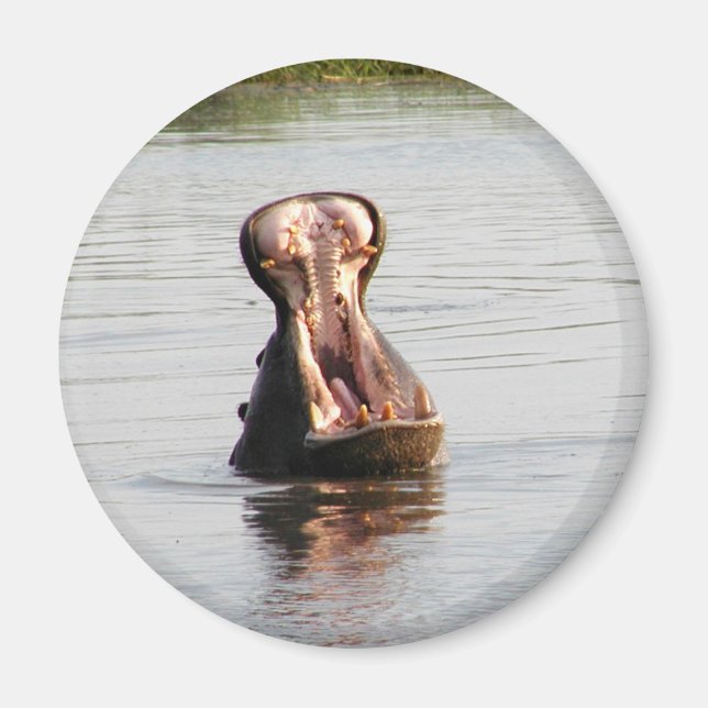 Imã Boca de Hippo (ímã redondo ou quadrado) (Frente)