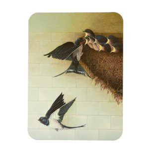 Ímã Bocas com fome 2011