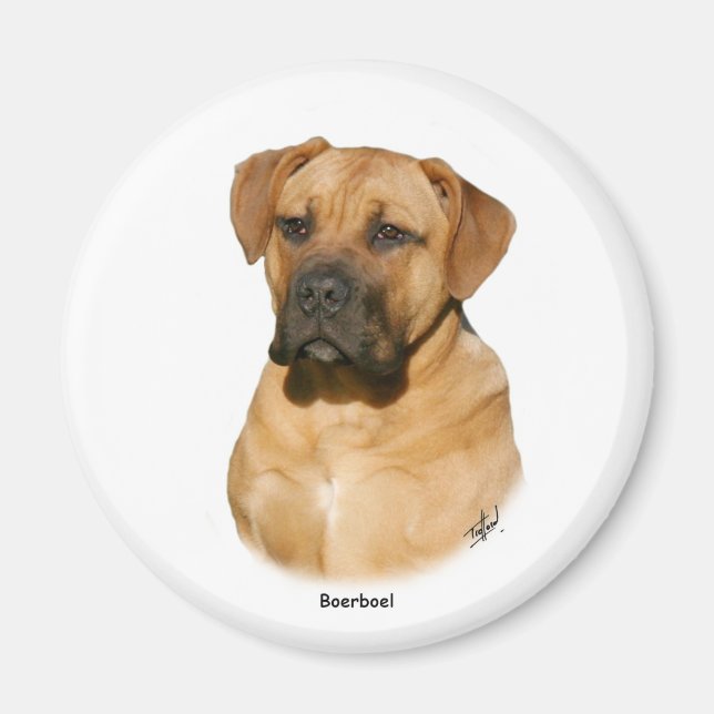 Imã Boerboel 9Y121D-294 (Frente)
