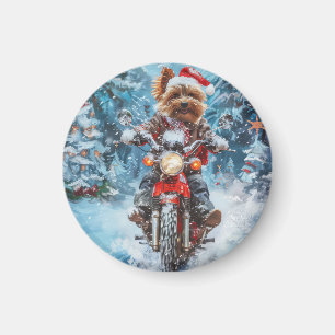 Imã Boewer Terrier Dog Dirigindo Motocicleta Natal